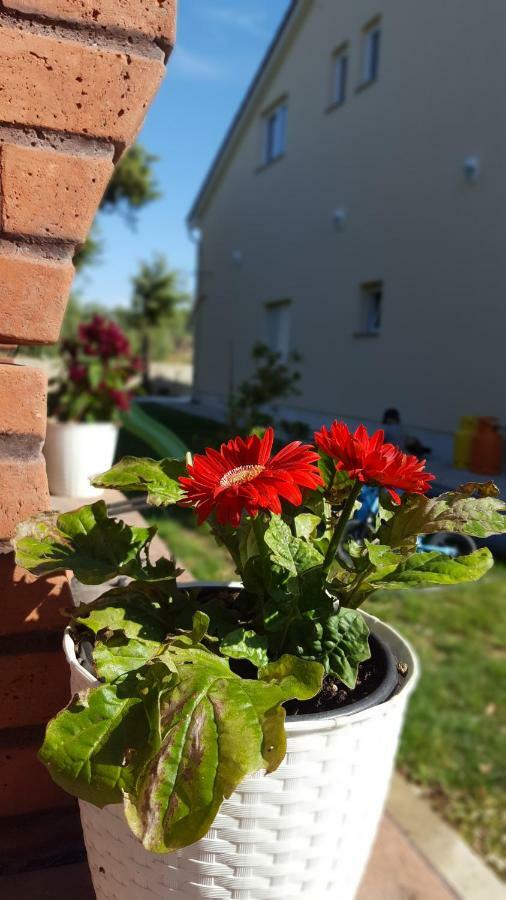 Apartmani "Sandro" Gonar Rab Town Eksteriør bilde